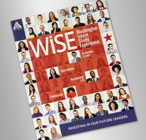 WISE Brochure-1