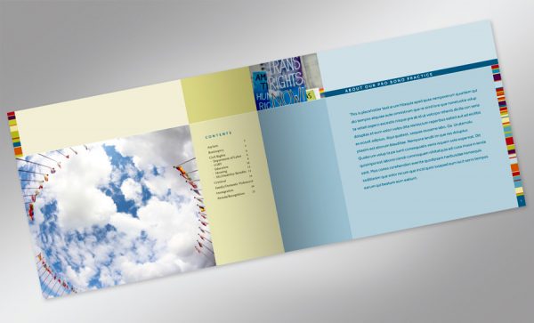 ProBono Brochure (unpublished)-2